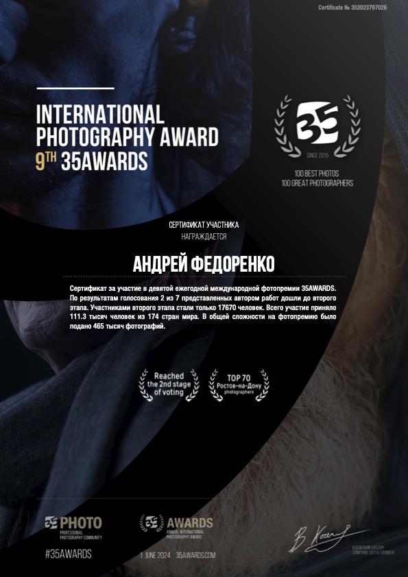 Сертификат участника 35AWARDS 2-го этапа